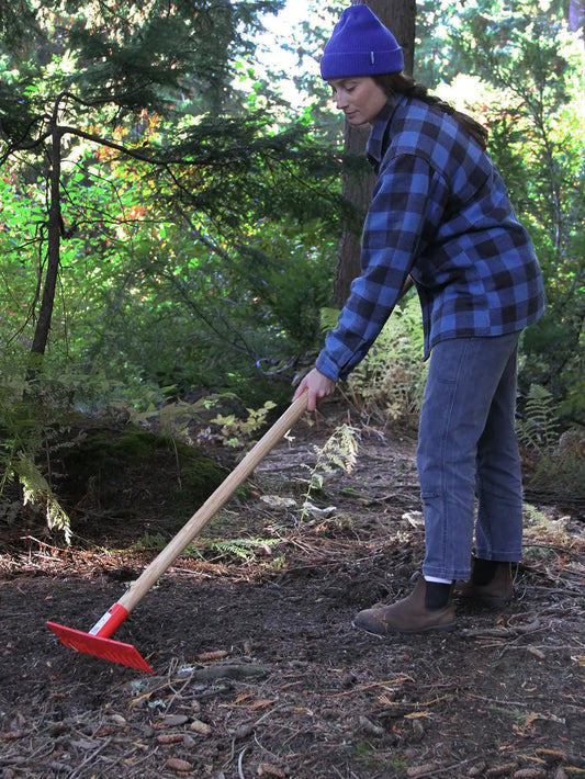Incendie de forêt de Cougar