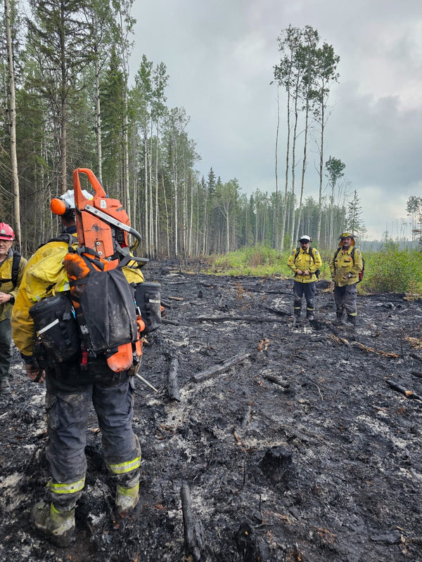 Australian wildland firefighters carrying Mystery Ranch packs in a burned forest area.