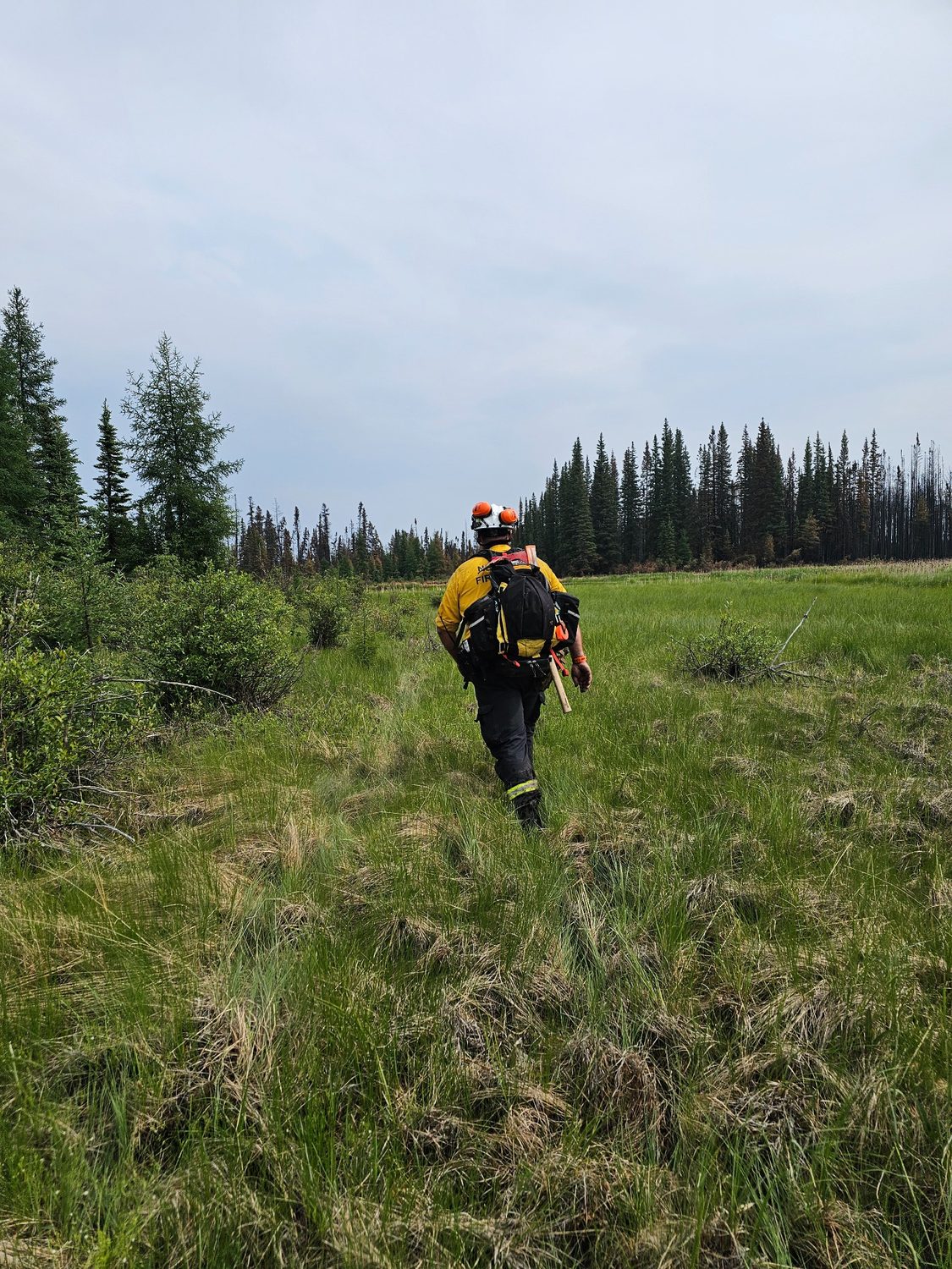 Australian wildland firefighter carrying Mystery Ranch pack walking through grassy forest area.