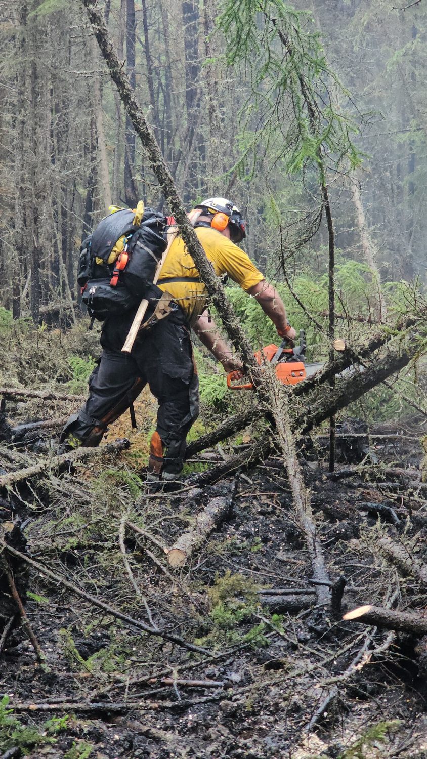 Australian wildland firefighter using chainsaw in a burned forest area with Mystery Ranch pack.